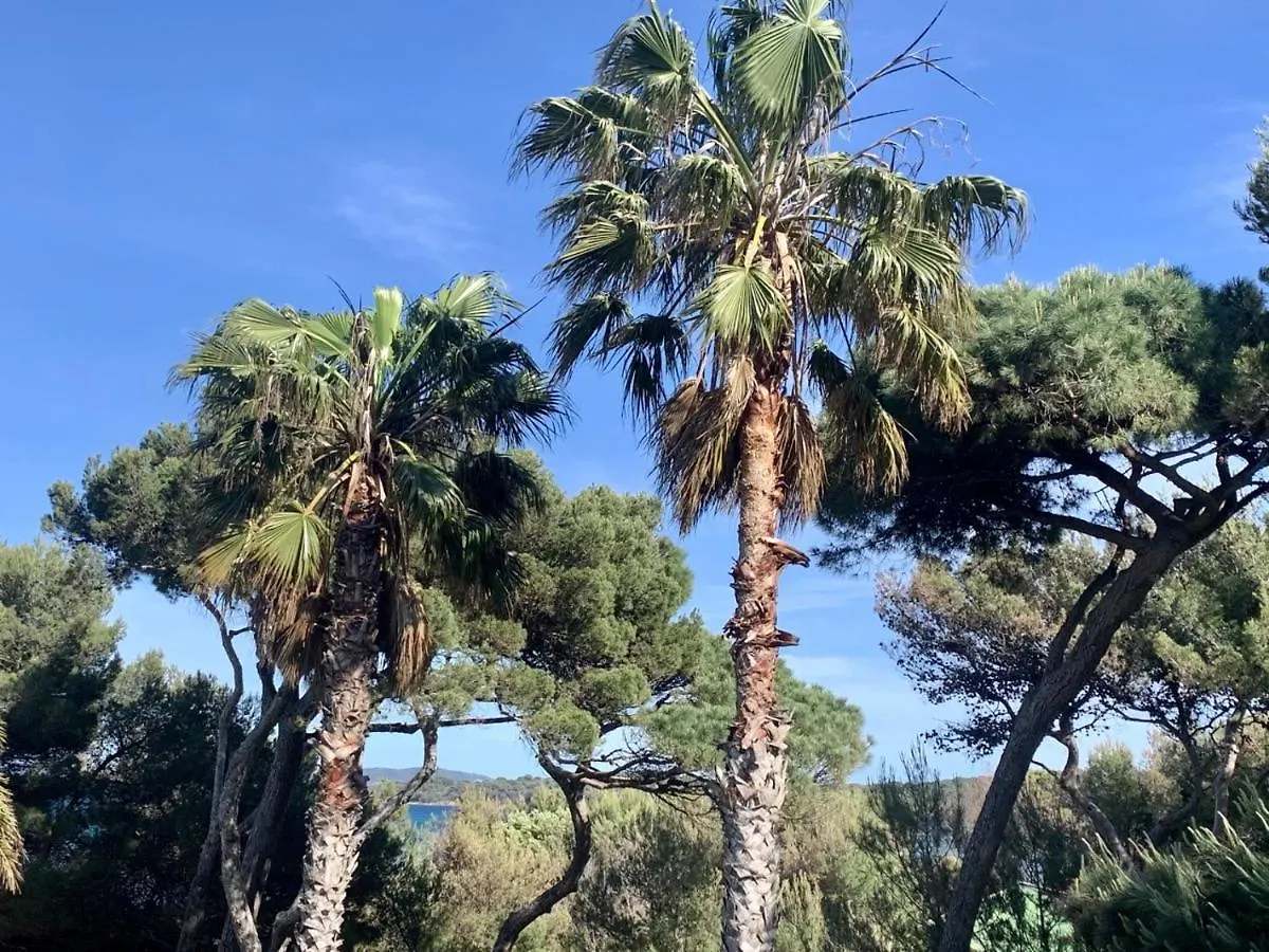 Bergerie Plage Renove Clim Balneo Plage Piscine Jardin Mediterraneen Hyères Appartement